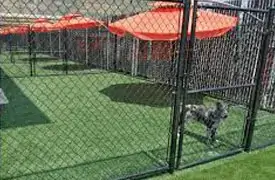 Kennels and Pets